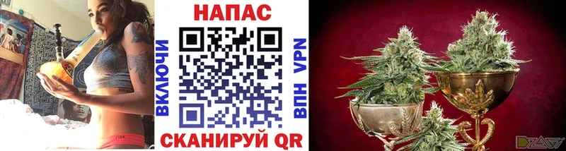 Шишки марихуана VHQ Новодвинск